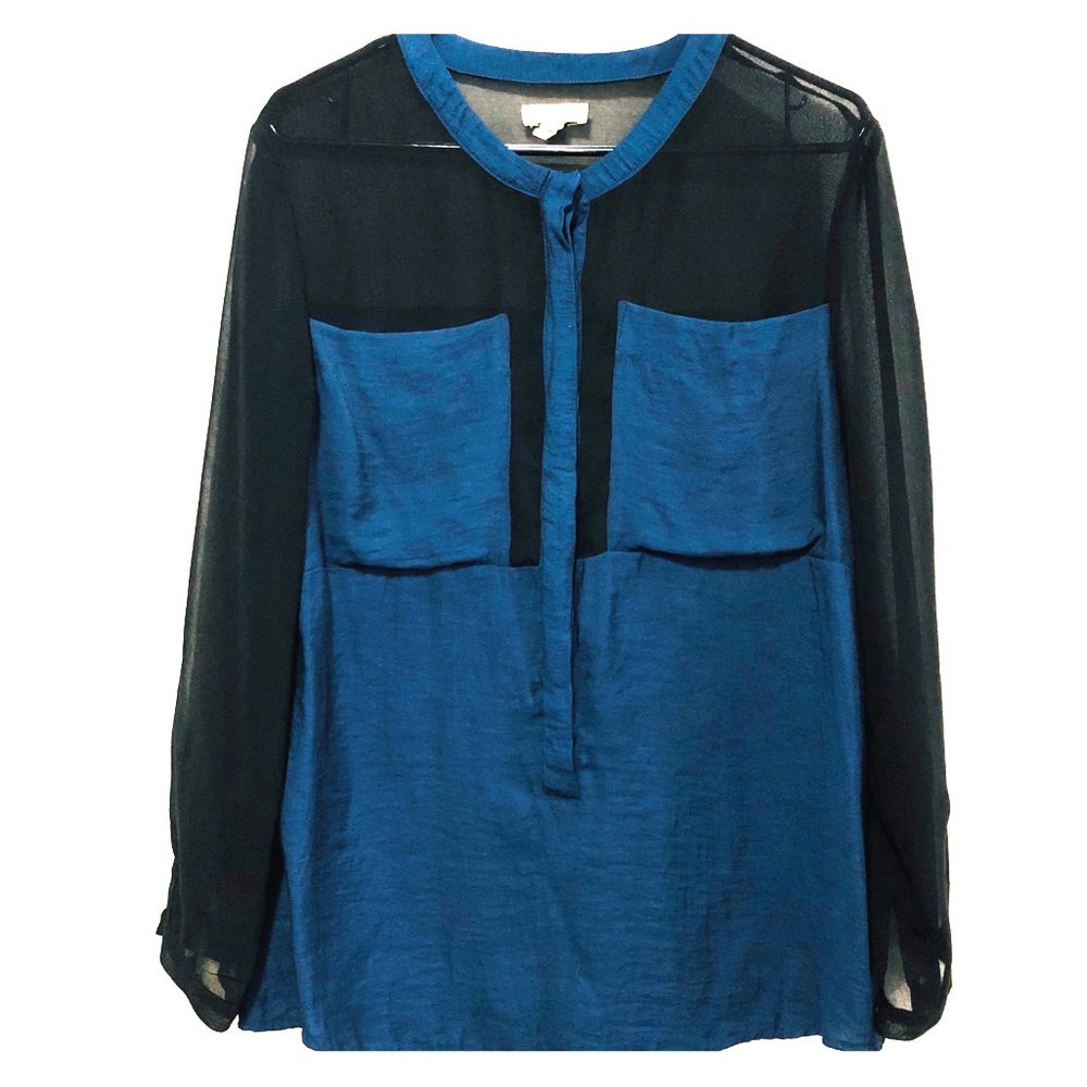 Black Mesh and Blue Blouse